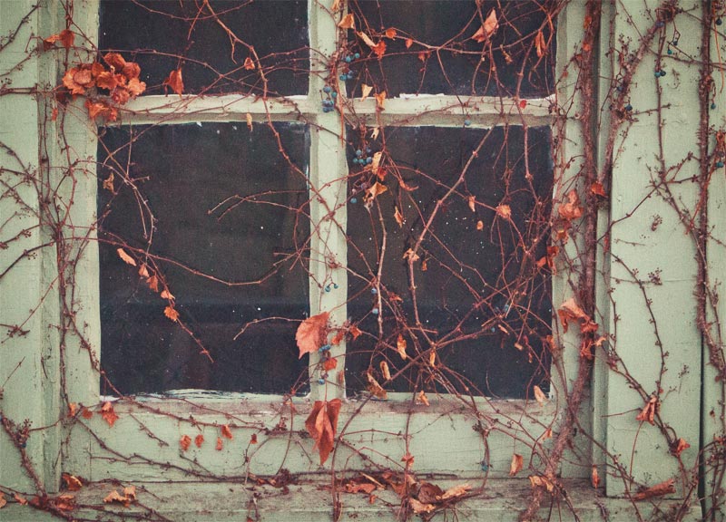 WindowCropped